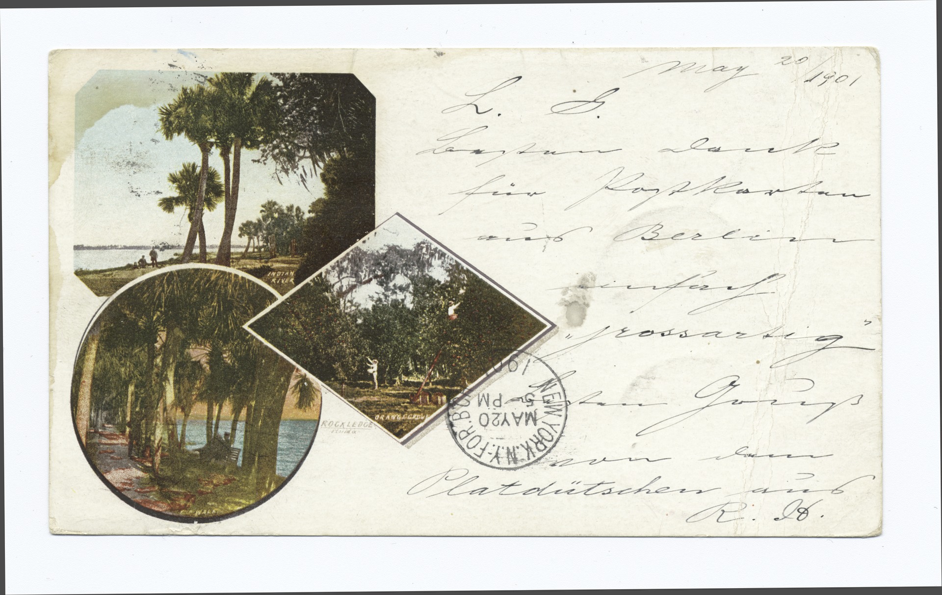 Period photograph of the walk through an orange grove at Rockledge, Florida