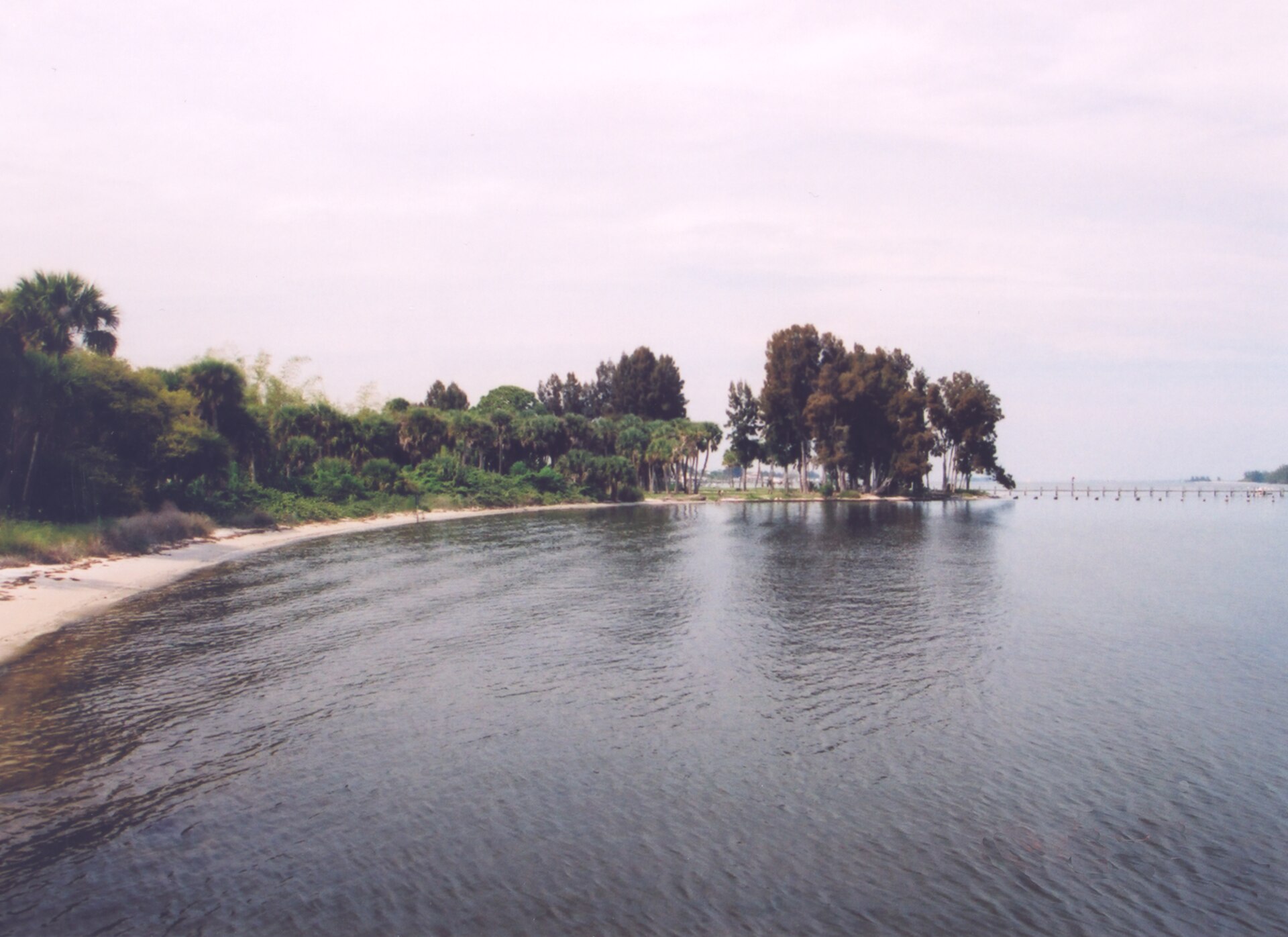 Peaceful shore on the Indian River Lagoon
